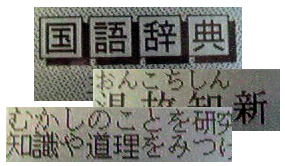 国語辞典の画面