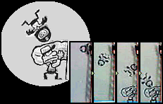 �܂��͗����Ă���X�^���g�}�����}�b�g�ŃL���b�`���āE�E�B