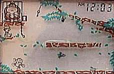 �p�p���s���`�I�W���j�A��I�����p�p��������񂾁I