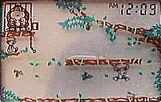 �����̊댯���Ȃ݂��A�p�p�̏��֌������W���j�A�E�E�E(��)�B