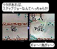 �c�^�΂��藊�肷����ƁA���ɓ˂�����邼�I