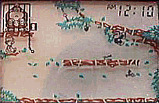 ���Ƃ��P��ʂł��ʔ������͖̂ʔ����̂��I